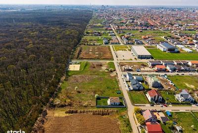 Spațiu comercial, în Dumbrăvița - 9