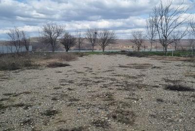 Teren de 1000 mp, în Vrancea