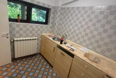 Casă cu 5 camere cu Canalizare în Floreasca - 2