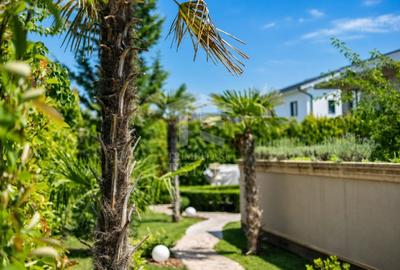 Casă individuală cu 5 camere cu Piscina în Dumbrăvița - 41