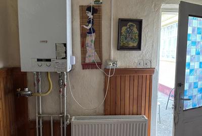 Casă cu Teren 1618 Mp în Central
