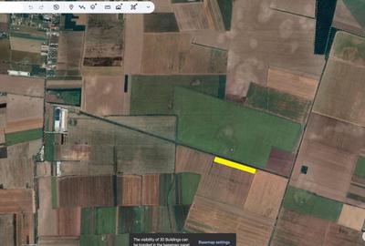 Teren agricol extravilan de 19800 mp, în Afumați - 1