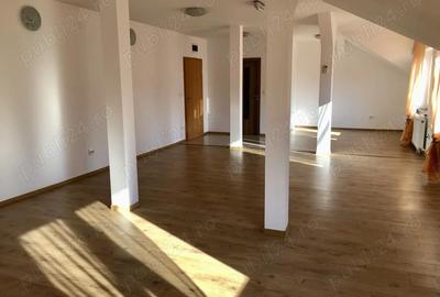Spațiu comercial, de 43 mp, în Traian - 5