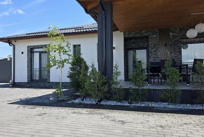 Casă cu 4 camere cu Teren 800 Mp în Noua - 2