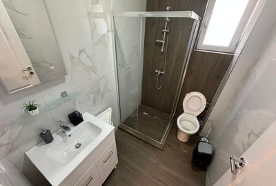 Apartament cu 3 camere decomandat, mobilat în Fundeni - 8