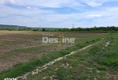 Teren de 5800 mp, în Mărăcineni - 6