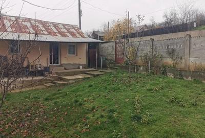 Casă cu 4 camere cu Teren 7000 Mp în Argetoaia