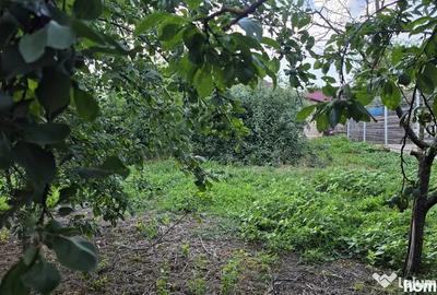 Casă cu 4 camere cu Teren 2200 Mp în Mihai Bravu