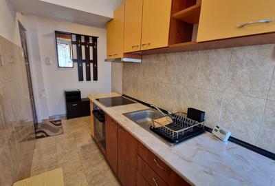 Apartament cu 2 camere semidecomandat, mobilat în Decebal - 9