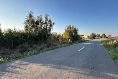Teren de 6700 mp, în Olteni (Uliești)