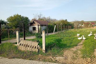 Teren de 1268 mp, în Brădești - 2