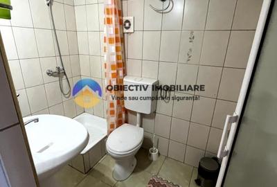 Hotel/Pensiune, de 250 mp, în Dumbrava Roșie - 19