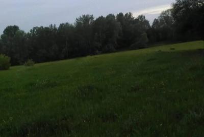 Teren de 5000 mp, în Racovița