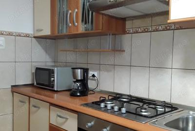Casă cu 4 camere cu Teren 6202 Mp în Totea - 4