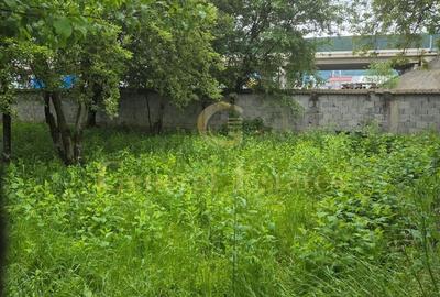 Casă cu 4 camere cu Teren 2290 Mp în Stupini - 6