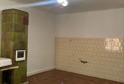 Casă cu Teren 1726 Mp în Central - 17