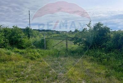 Spațiu comercial, în Păulești