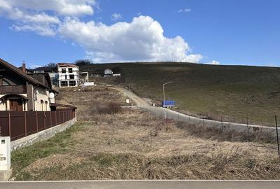 Teren de 958 mp, în Sâncraiu de Mureș - 5