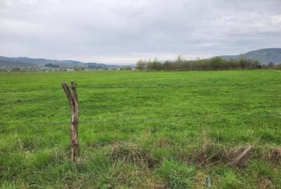 Teren Construcții intravilan de 13377 mp, în Est - 3