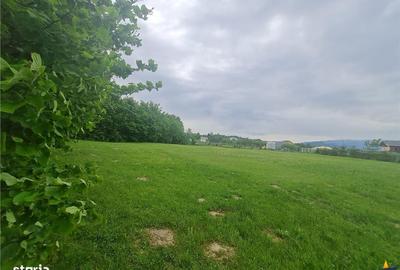 Spațiu comercial, în Cheile Râșnoavei - 7
