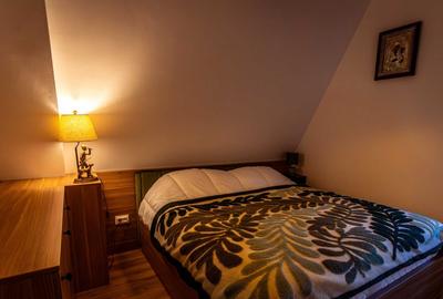 Casă cu 4 camere cu Teren 45000 Mp în Șinca