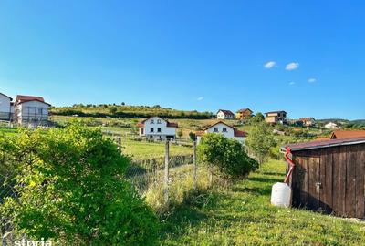 Teren de 1000 mp, în Șura Mare