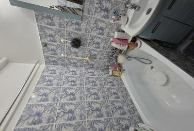 Apartament cu 2 camere semidecomandat în Valea Rosie - 4