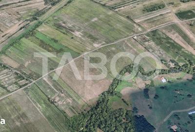 Teren de 17000 mp, în Central