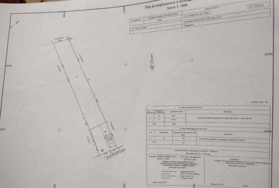 Casă cu 4 camere cu Teren 5000 Mp în Drăgănești - 6