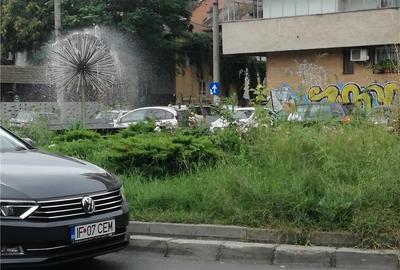 Casă cu 4 camere cu Teren 185 Mp în P-ța Victoriei - 2