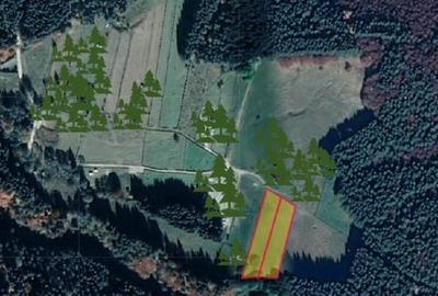 Teren intravilan de 5000 mp, în Valea Doftanei