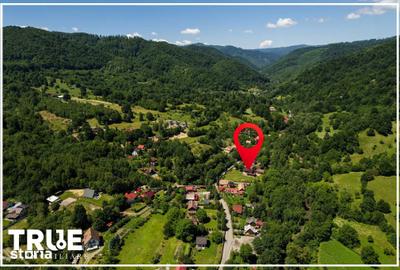 Casă cu 4 camere cu Teren 2500 Mp în Deda - 6