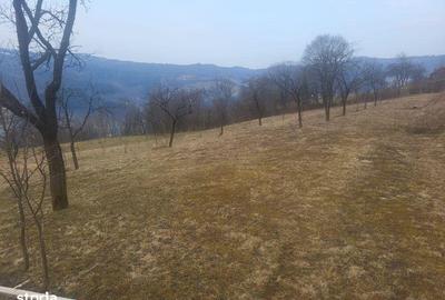 Teren de 5976 mp, în Moisei - 6