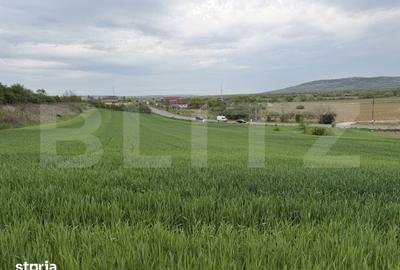 Teren de 12500 mp, în Bobota