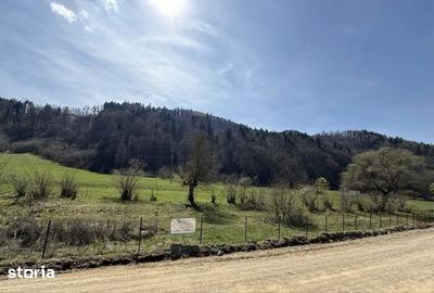 Teren de 7300 mp, în Tărlungeni