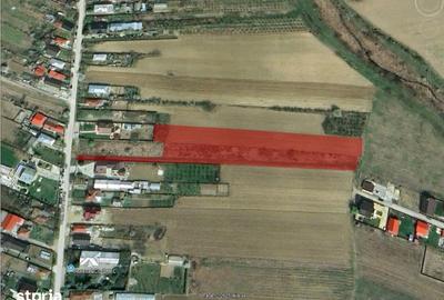 Teren de 8000 mp, în Central - 2