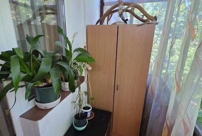 Apartament cu 2 camere în Dâmbu Pietros - 13