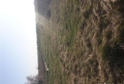 Teren de 2500 mp, în Călugăreni - 1
