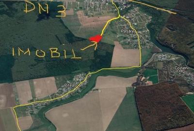 Teren de 20000 mp, în Brănești - 4