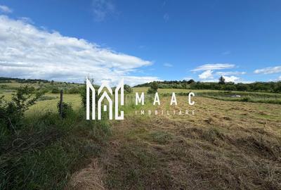 Teren Construcții intravilan de 1750 mp, în Hamba - 9