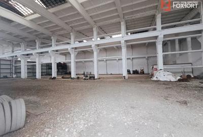 Spațiu comercial, de 2,700 mp, în Șagului