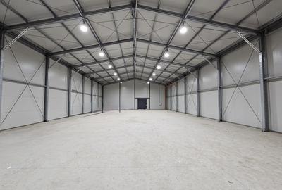 Spațiu industrial, de 600 mp, în Jilava - 1