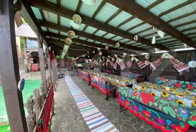 Spațiu comercial, de 600 mp, în Crișeni - 14