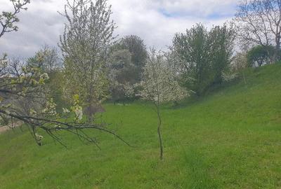 Teren de 1600 mp, în Groși