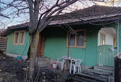 Casă cu 4 camere în Nucșoara de Jos - 7