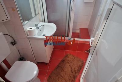 Apartament cu 3 camere decomandat în Cetate - 6