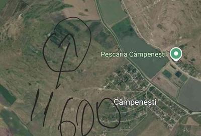 Teren de 11600 mp, în Câmpenești