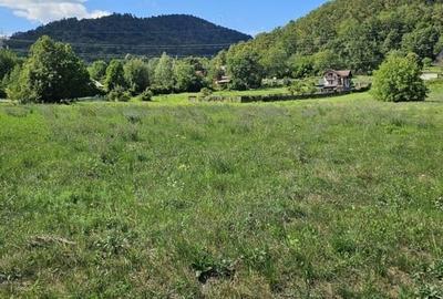 Teren de 1434 mp, în Alexandru cel Bun - 2