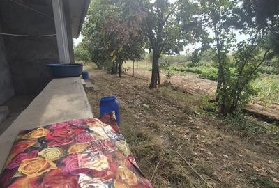 Casă cu 4 camere în Popești