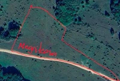 Teren extravilan de 13839 mp, în Mogoș - 1